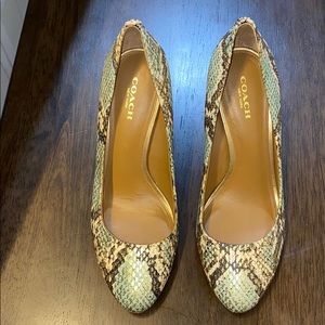 Coach Metallic snakeskin print heels